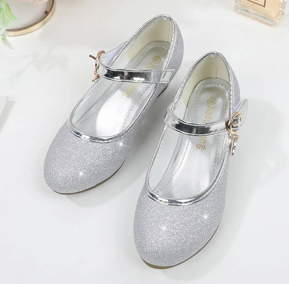 Girls Heels Dress Shoes Mary Jane Pumps Low Heel Princess Flower Wedding Party